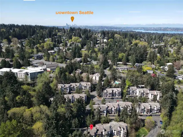 Home is near SR520 for easy access to downtown Seattle.