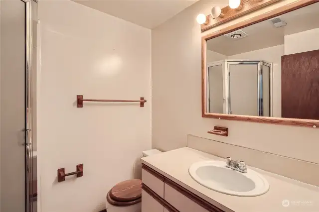 lower level bathroom