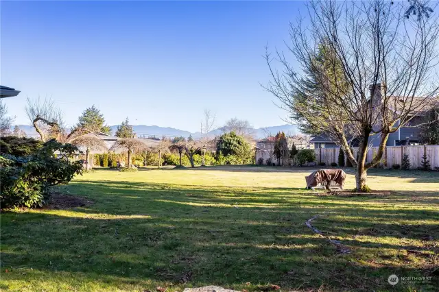 View from side yard, across the lawn of the rear neighbor of mountains.