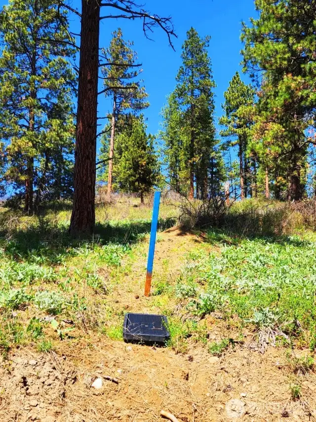 Water is ran right to the property, Evergreen Valley Water District, no well to drill!