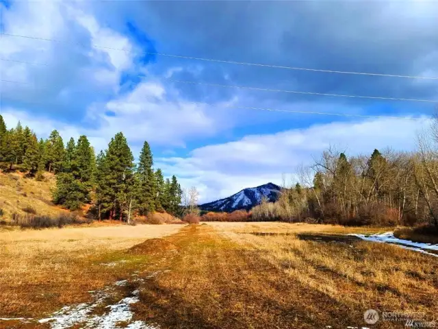 This is a photo taken earlier this year of the Nature Conservancy field below the lots. Swauk Creek runs along the far side of this field. This area has been set aside for the abundance of wildlife in the area. Residents are allowed to hike through this field and take a picnic lunch down to Swauk Creek...