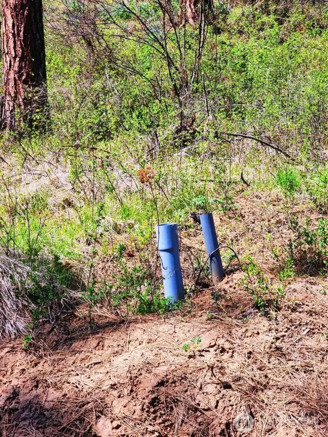 These are the conduit pipes for Electric and Cable! Right on the property, all you have to do is bring them to your homesite and hook up!