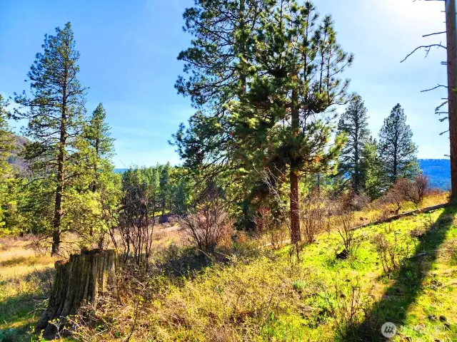 Land is well sloped at the front and levels off at the top where you will want to build your DREAM HOME with majestic views of the Stuart and Cascade Mountain Ranges and Hidden Valley and Teanaway Valley