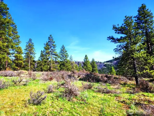 Property views looking to the east