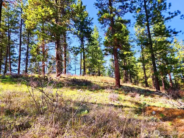 Just at the top of this hill the property flattens out and that is where you get your mountain and valley views!