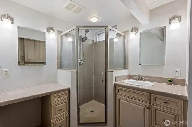 Lower Level Bathroom