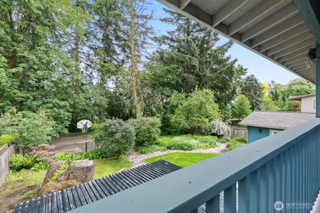 Deck View