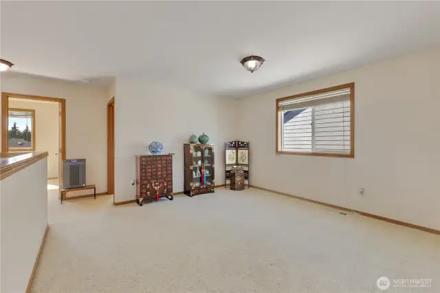 Huge Bonus/Loft Area