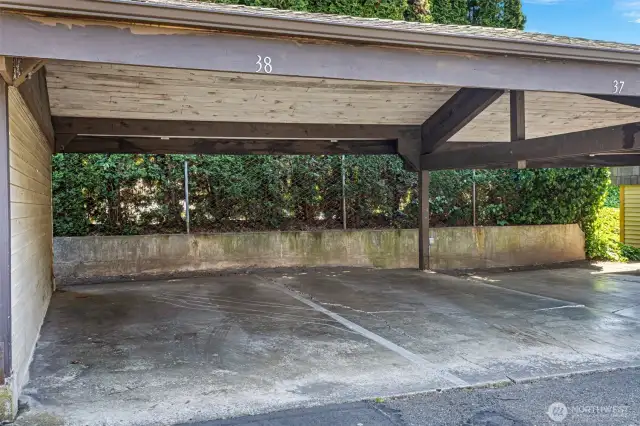 Carport space #38 provides covered parking. There are also additional flex spaces available for residents and an upper parking area with spaces than can be leased.