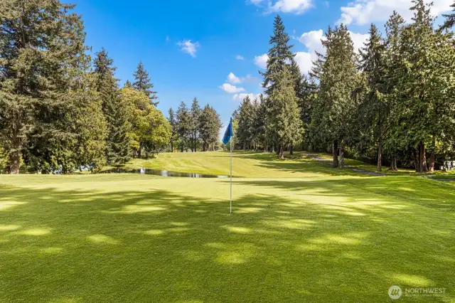 The iconic 9th green!