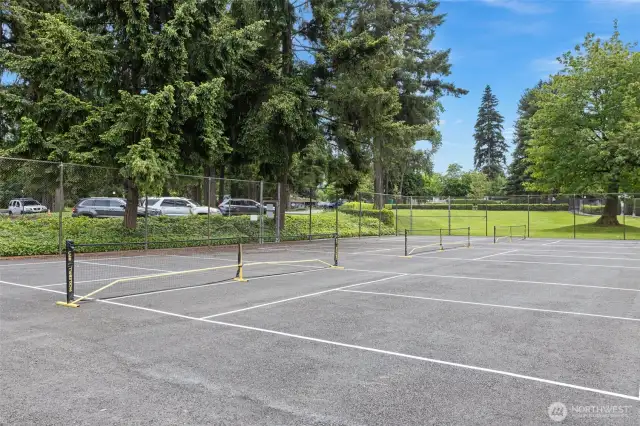 Pickle ball courts are the newest amenity at the club! The sprawling lawn next to the courts is one of many areas to walk pets.