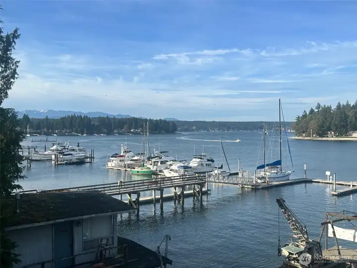 The views from the home are absolutely beautiful! Looking toward the Port of Keyport Public Marina.