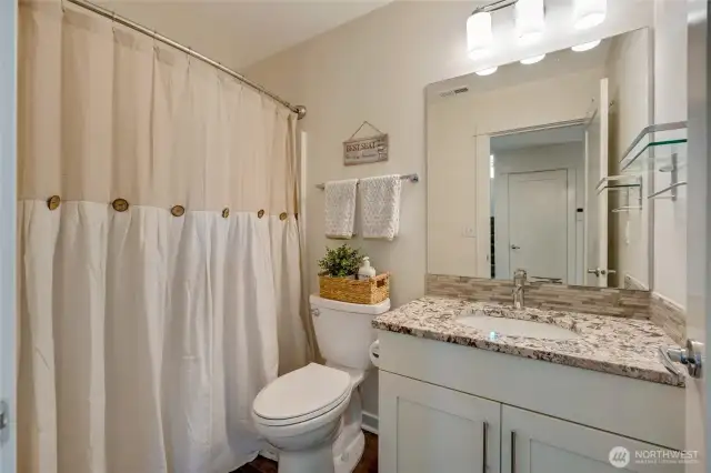 Lower level full bath.