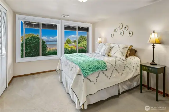 Lower level guest bedroom
