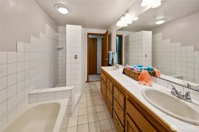 Lower level full guest 5-pc bath