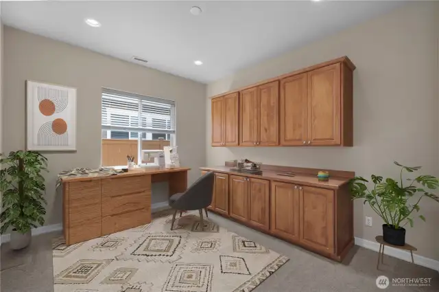 3rd Bedroom/Flex Space with large closet and custom built-in shelves.