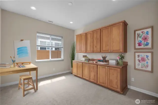 3rd Bedroom/Flex Space with large closet and custom built-in shelves.