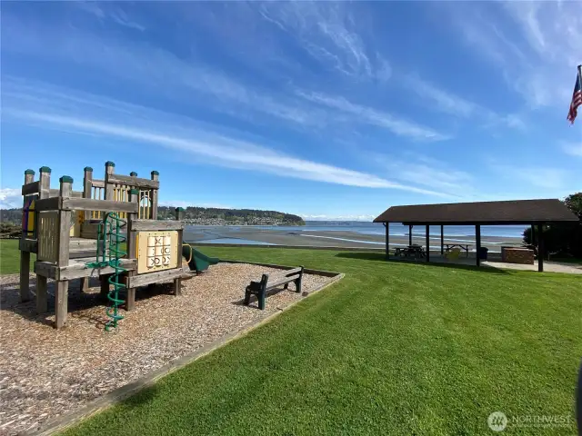 Playground and Picnic/BBQ and plenty of grassy area to play!