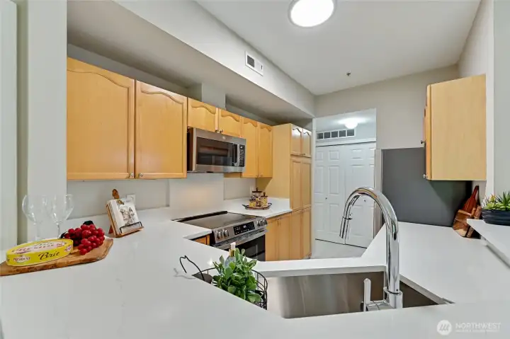 Your gorgeous Kitchen is well appointed with all brand new appliances, new stunning quartz countertops, new sink, new lighting, and a Pantry! A condo with a pantry? Awesome!
