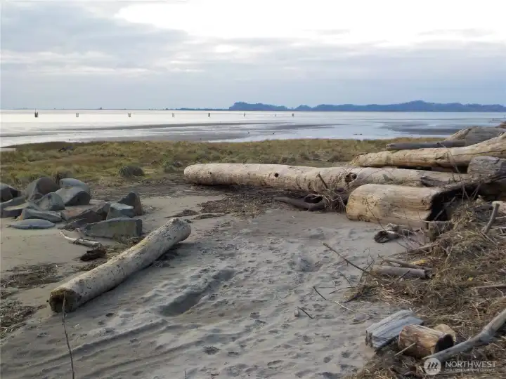 LOW TIDE VIEW END OF THIRD ST