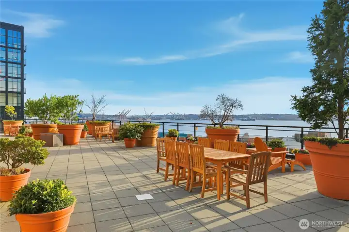 Check out these cool potted planters on the fabulous rooftop deck!