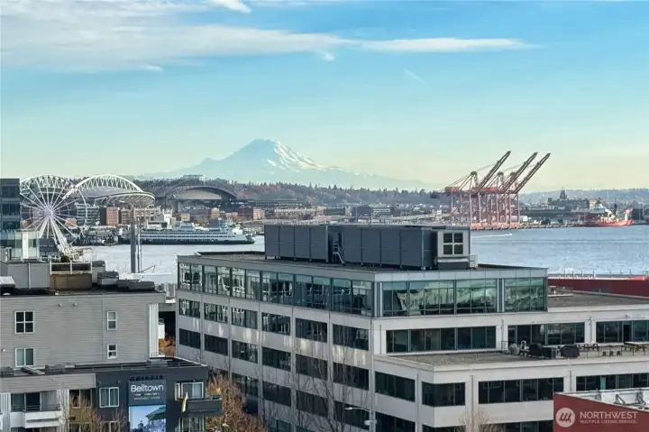 Breathtaking Mt. Rainier views on a clear day from the rooftop deck!