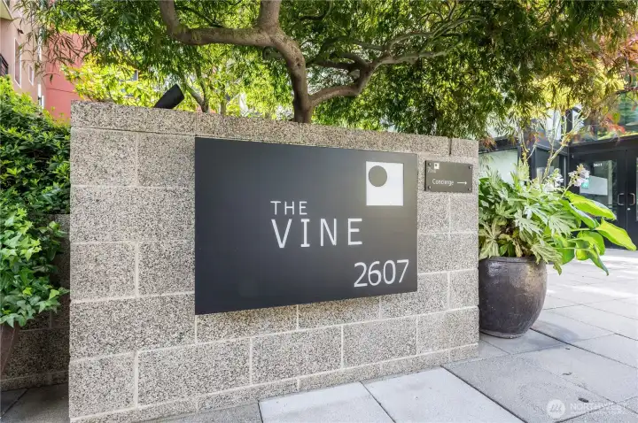 The Vine Condominium, a luxury condominium located in the heart of Belltown close to dining, coffee shops, Sculpture Park, Waterfront, Pike Place Market, Waterfront Park and more!  Pets are welcome!