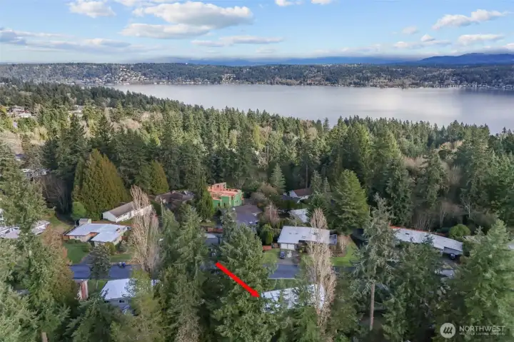 Ideally located in a quiet East Bellevue neighborhood with proximity to Lake Sammamish and surrounding natural beauty.Great neighborhood