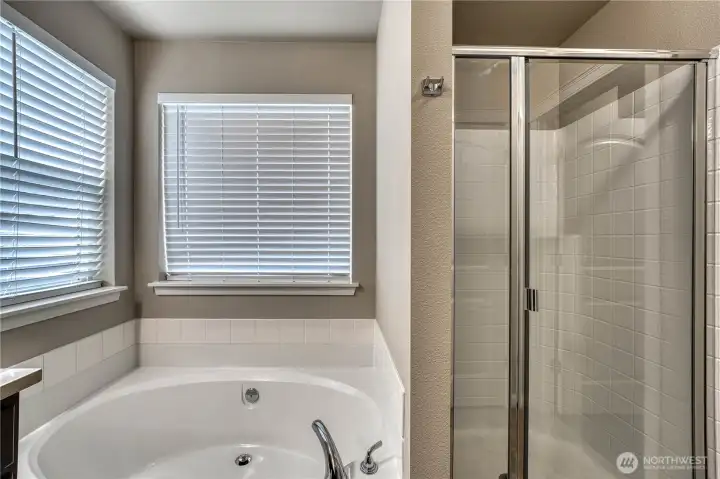 Primary Bedroom Soaking Tub & Shower