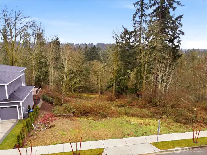 All engineering, grading, drainage, and energy compliance documents are in place—including approvals for impervious surface coverage, native vegetation buffers, and stormwater connection to existing city infrastructure.