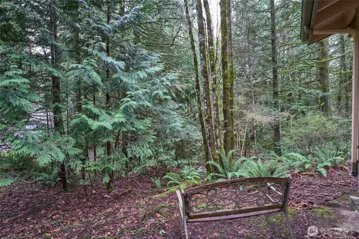 small creek boarders the property
