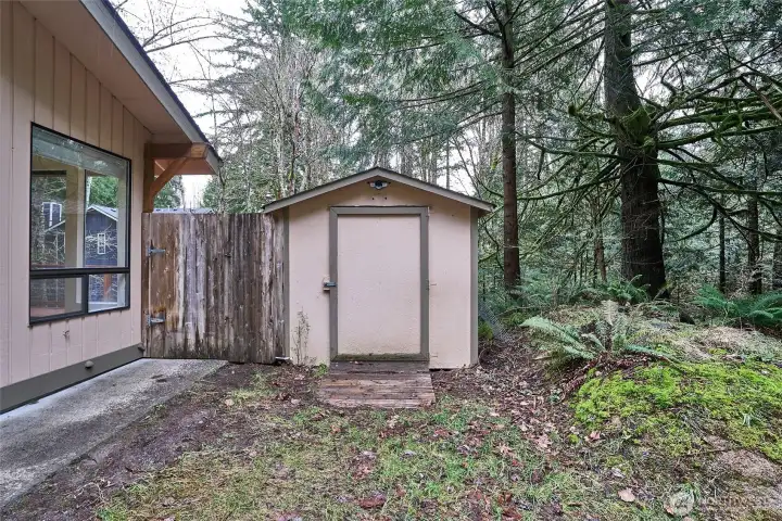 Shed for extra storage