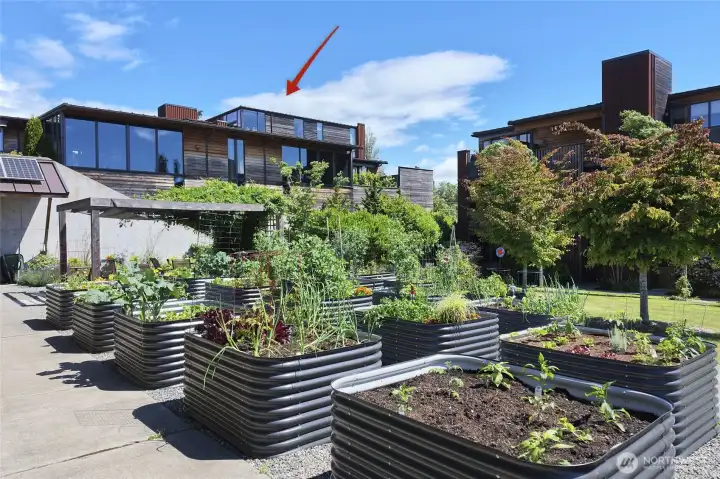 Corner unit overlooking the state of the art community center and community gardens. Corner unit overlooking the state of the art community center and community gardens.