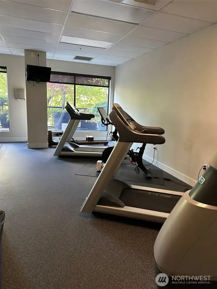Fully appointed fitness gym