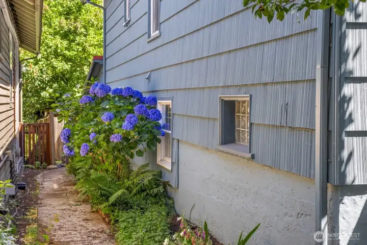 Hydrangeas and lush greenery create a picturesque welcome along the side walkway to the lower level unit's front door. Hydrangeas and lush greenery create a picturesque welcome along the side walkway to the lower level unit's front door.