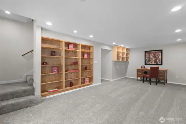 Lower family room