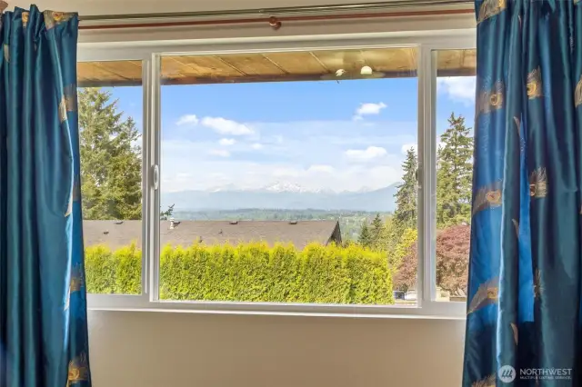 Primary bedroom view