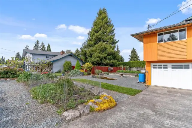 Mature veggie & berry gardens