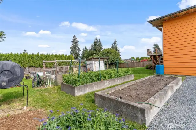 Raised garden beds!