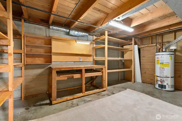 Utility/storage room with tons of shelves and work bench