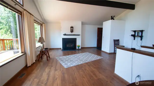 Main Gas Fireplace