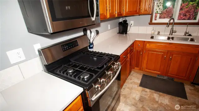 Gas Stove/Range
