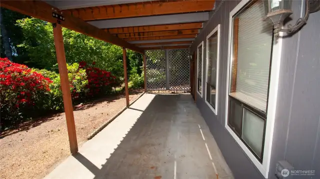 Lower patio offers lots of entertaining space. Look at those beautiful Rhodes!