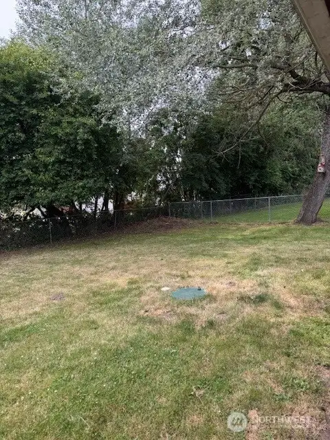 Fenced backyard