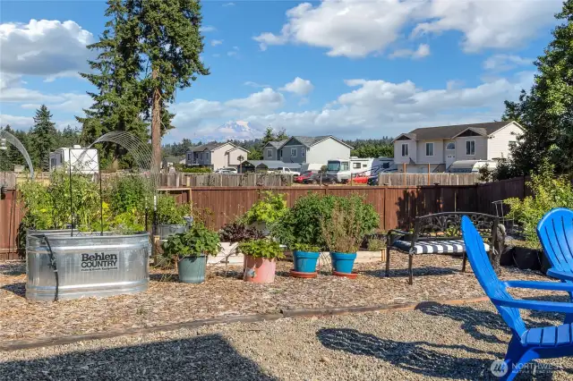 Part of your garden and another Mt Rainer view