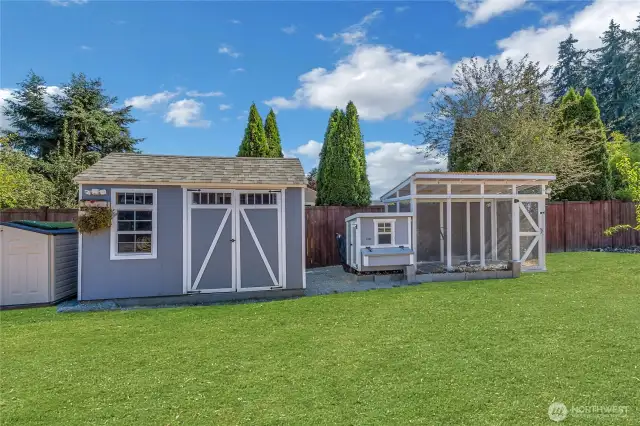 Grass is edited. Shed and chicken coop. Grass is enhanced.