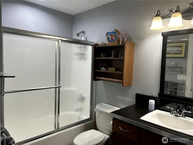 Main Bath with glass enclosure tub