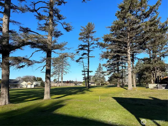 View from deck looking NW