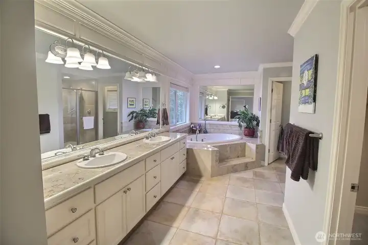 Ahhh, the Primary Bath, Double Sink, Marble tile counters, Soaking tub, Walk in Closet, Large Shower and private toilet.