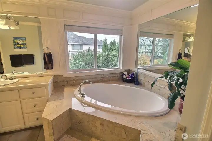 Primary Bath Soaking tub with a view of the trees and birds!